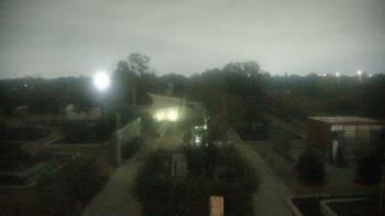 Weather camera view of Houston Botanic Garden.