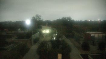 Weather camera view of Houston Botanic Garden.