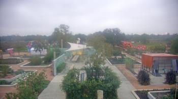 Weather camera view of Houston Botanic Garden.