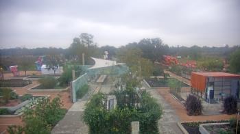 Weather camera view of Houston Botanic Garden.