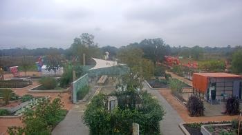 Weather camera view of Houston Botanic Garden.