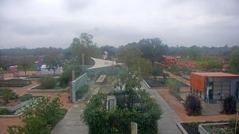 Weather camera view of Houston Botanic Garden.