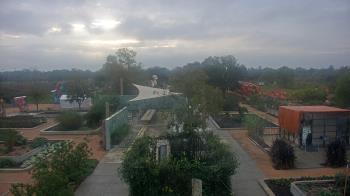 Weather camera view of Houston Botanic Garden.