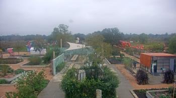 Weather camera view of Houston Botanic Garden.