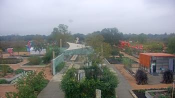 Weather camera view of Houston Botanic Garden.