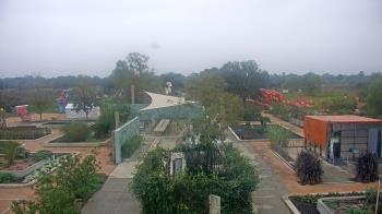 Weather camera view of Houston Botanic Garden.