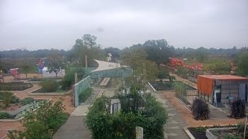 Weather camera view of Houston Botanic Garden.