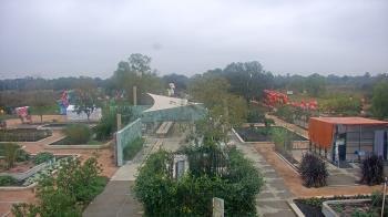 Weather camera view of Houston Botanic Garden.