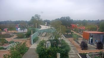 Weather camera view of Houston Botanic Garden.