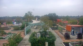 Weather camera view of Houston Botanic Garden.