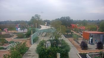 Weather camera view of Houston Botanic Garden.