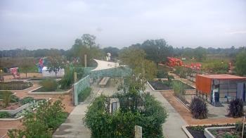 Weather camera view of Houston Botanic Garden.