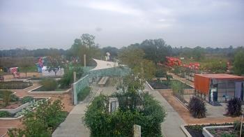 Weather camera view of Houston Botanic Garden.