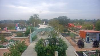 Weather camera view of Houston Botanic Garden.
