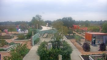 Weather camera view of Houston Botanic Garden.