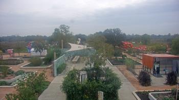 Weather camera view of Houston Botanic Garden.