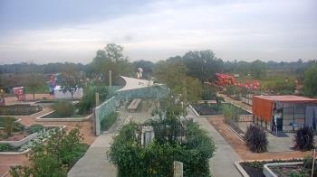 Weather camera view of Houston Botanic Garden.