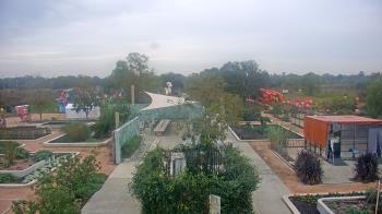 Weather camera view of Houston Botanic Garden.