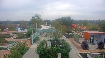 Weather camera view of Houston Botanic Garden.