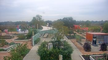Weather camera view of Houston Botanic Garden.