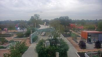 Weather camera view of Houston Botanic Garden.