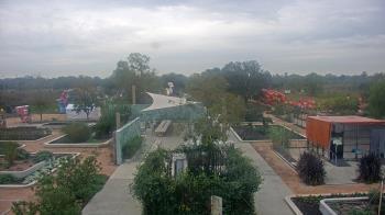 Weather camera view of Houston Botanic Garden.
