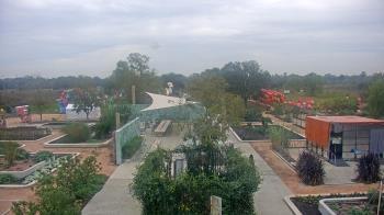 Weather camera view of Houston Botanic Garden.