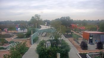 Weather camera view of Houston Botanic Garden.