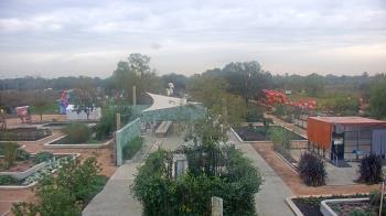 Weather camera view of Houston Botanic Garden.