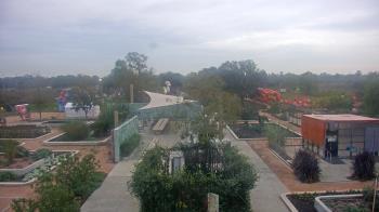 Weather camera view of Houston Botanic Garden.