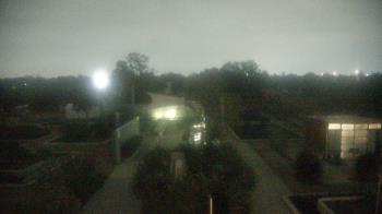 Weather camera view of Houston Botanic Garden.