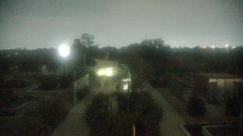 Weather camera view of Houston Botanic Garden.