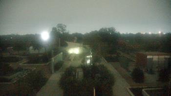 Weather camera view of Houston Botanic Garden.