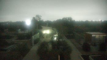 Weather camera view of Houston Botanic Garden.