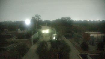 Weather camera view of Houston Botanic Garden.