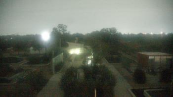 Weather camera view of Houston Botanic Garden.
