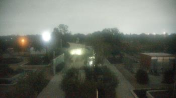 Weather camera view of Houston Botanic Garden.
