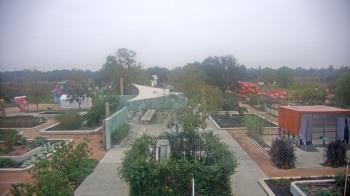 Weather camera view of Houston Botanic Garden.