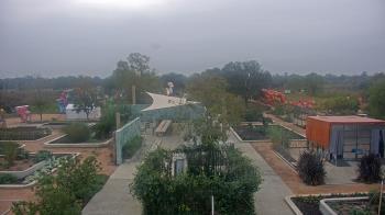 Weather camera view of Houston Botanic Garden.