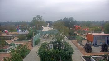 Weather camera view of Houston Botanic Garden.