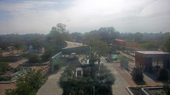 Weather camera view of Houston Botanic Garden.