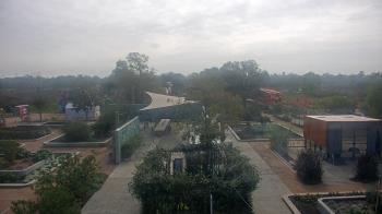 Weather camera view of Houston Botanic Garden.