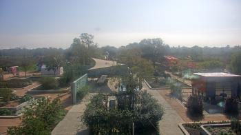 Weather camera view of Houston Botanic Garden.