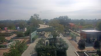 Weather camera view of Houston Botanic Garden.