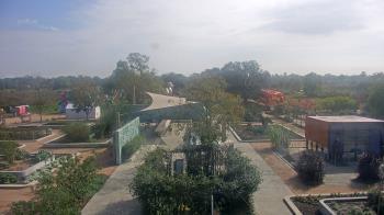 Weather camera view of Houston Botanic Garden.
