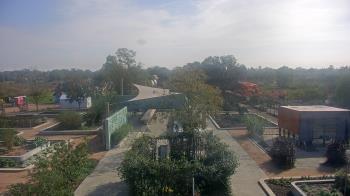 Weather camera view of Houston Botanic Garden.