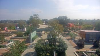 Weather camera view of Houston Botanic Garden.