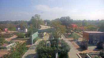 Weather camera view of Houston Botanic Garden.