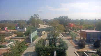 Weather camera view of Houston Botanic Garden.