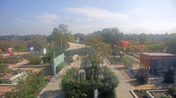 Weather camera view of Houston Botanic Garden.